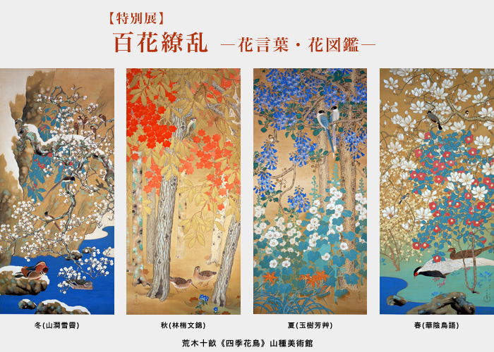 特別展 百花繚乱 花言葉 花図鑑 過去に開催された展覧会 山種美術館