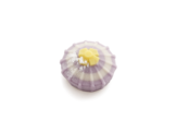 wagashi250809-05.png