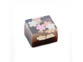 wagashi260227-03.png